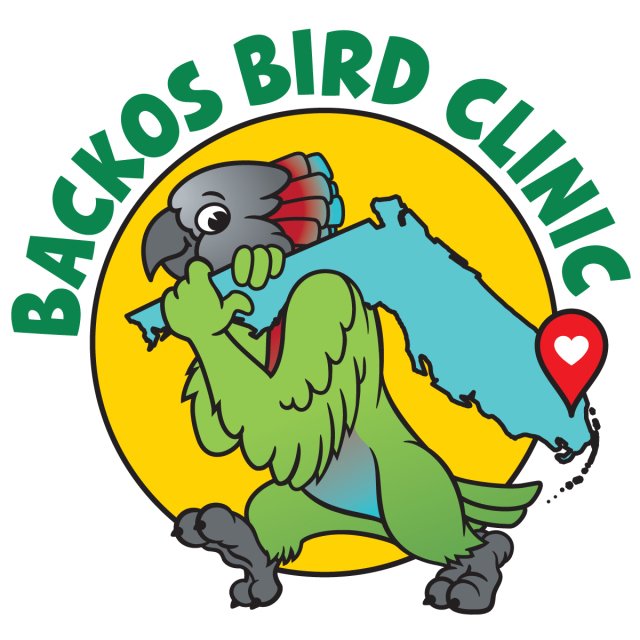 Bird Clinic in Deerfield Beach, FL | Backos Bird Clinic